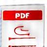 PDF Icon